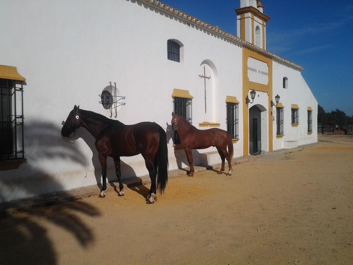 Hotel Hacienda La Indiana Los Palacios Y Villafranca Esterno foto